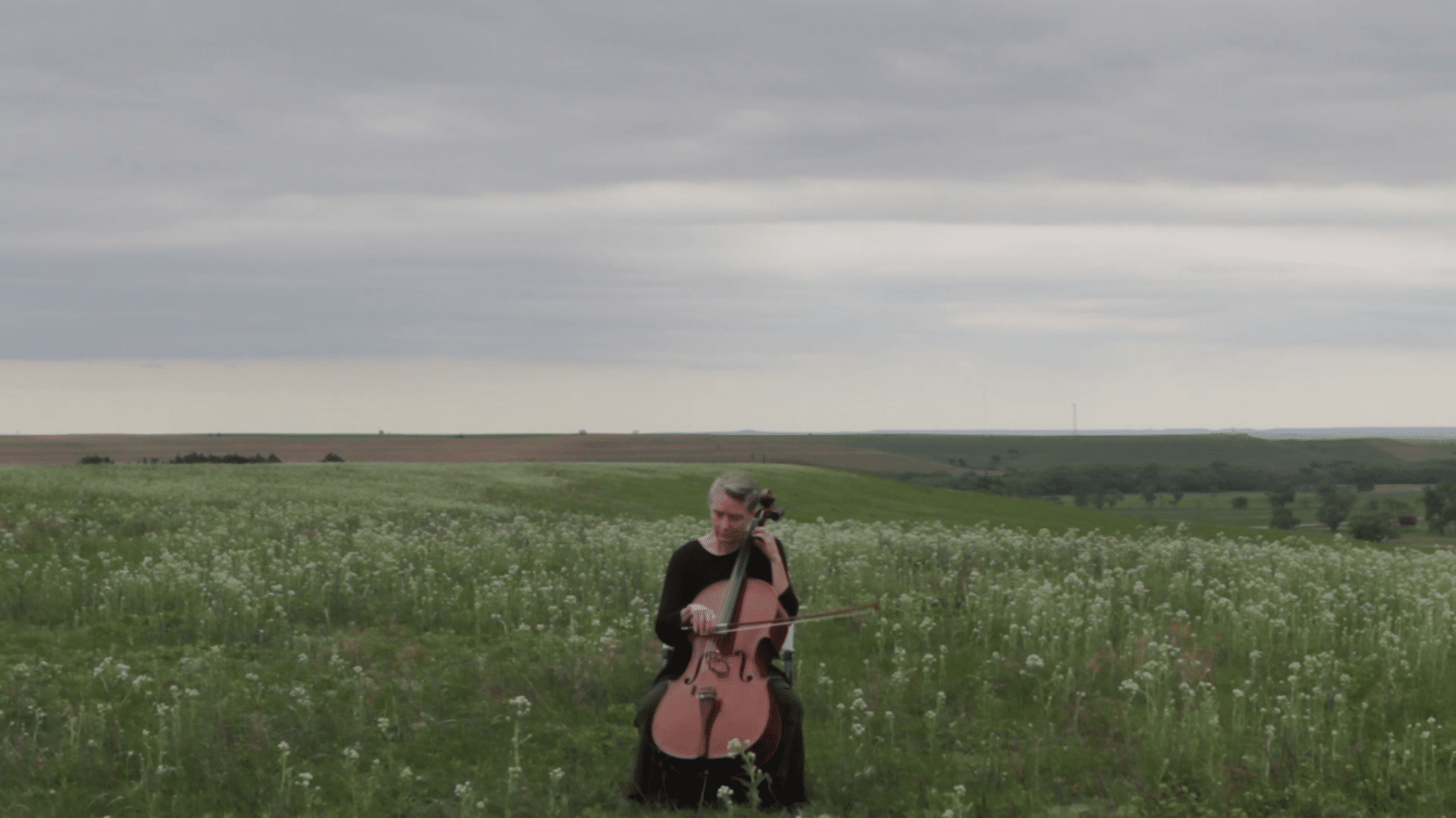 A person playing a cello in a field